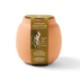 Modern Sprout® Modern Terracotta Grow Kit - Cactus