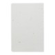 Seed Paper Meeting Notebook, 4" x 6"