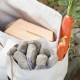 Evergreen Garden Tool & Produce Bag