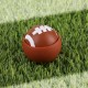 Pro Football Massager
