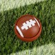 Pro Football Massager