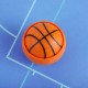 Pro Basketball Massager