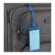 Wander & Roam Jelly Luggage Tag