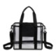 Small Clear PVC Stadium Tote