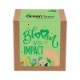 Bloom w/ Impact Planter in Kraft Gift Box w/ Label