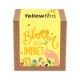 Bloom w/ Impact Planter in Kraft Gift Box w/ Label