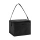 Springs 6-Pack Insulated Cooler Bag - Direct Import