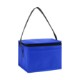 Springs 6-Pack Insulated Cooler Bag - Direct Import