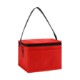 Springs 6-Pack Insulated Cooler Bag - Direct Import