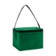 Springs 6-Pack Insulated Cooler Bag - Direct Import