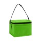 Springs 6-Pack Insulated Cooler Bag - Direct Import