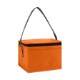Springs 6-Pack Insulated Cooler Bag - Direct Import
