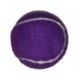 Pet Safe Fetch Toy Tennis Ball