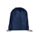 Classic 210D Polyester Drawstring Backpack
