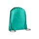 Classic 210D Polyester Drawstring Backpack