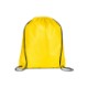 Classic 210D Polyester Drawstring Backpack