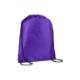 Classic 210D Polyester Drawstring Backpack