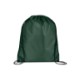 Classic 210D Polyester Drawstring Backpack
