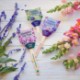 Modern Sprout® Flower Seed Pop - Thanks A Bunch