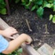 Modern Sprout® Flower Seed Pop - Thanks A Bunch