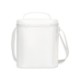 Aviana™ Rowan AWARE™ Recycled Nylon Lunch Cooler