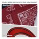 Square 100% Cotton Bandanna, 22" x 22"- Direct Import