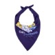 Triangle Polyester Pet Bandanna - Direct Import