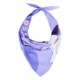 Triangle Polyester Pet Bandanna - Direct Import