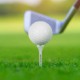 Performance Golf Tees, 3-1/4" - Direct Import