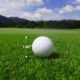 Professional Two-Piece Golf Ball - Direct Import
