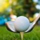Professional Two-Piece Golf Ball - Direct Import