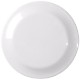 Large Fun Flying Disc, 9-1/2"