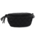 Crescent Recycled Nylon Fanny Pack