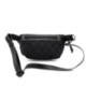 Crescent Recycled Nylon Fanny Pack