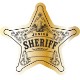 Junior Sheriff 5 Point Badge Sticker, Roll of 1000, Custom