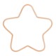 Wicked Good Cookies® 3.5" Star Logo Sugar Cookie