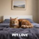 Cozy Fleece Blanket, 60" x 50" - Direct Import