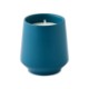 Modern Sprout Rooted Candle - Basil