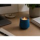 Modern Sprout Rooted Candle - Basil