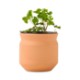 Modern Sprout® Tiny Terracotta Planter - Lucky to Have You