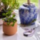 Modern Sprout® Tiny Terracotta Planter - Lucky to Have You