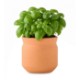 Modern Sprout® Tiny Terracotta Planter - Big Congrats