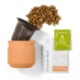 Modern Sprout® Tiny Terracotta Planter - Big Congrats