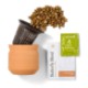 Modern Sprout® Tiny Terracotta Planter - Thank You