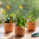 Modern Sprout® Tiny Terracotta Planter - Thank You