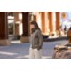 MiiR® Kumo Tri-Blend Ladies' Full-Zip