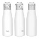 NAYAD® Hamlin Stainless Double-Wall Vacuum Insulated Bottle, 18oz.