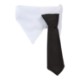 Paws & Claws Neck Tie Collar