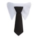 Paws & Claws Neck Tie Collar