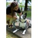 PawFlex Retractable Pet Leash